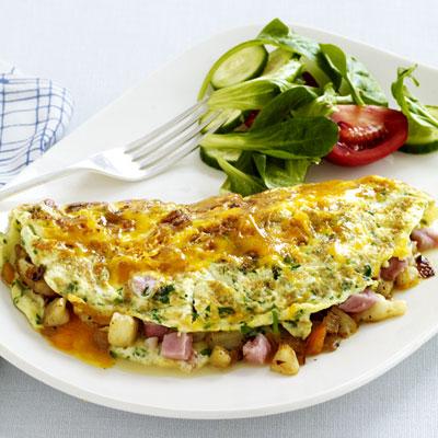 Turkey and Cheese Omelette